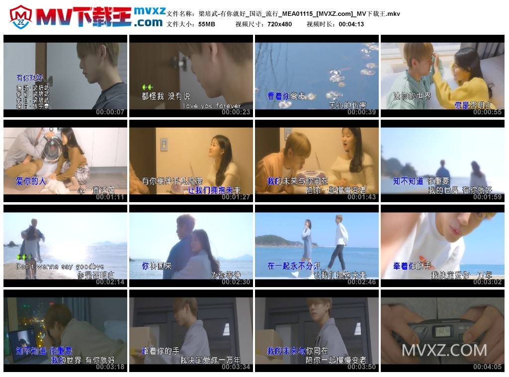 梁培武-有你就好_国语_流行_MEA01115